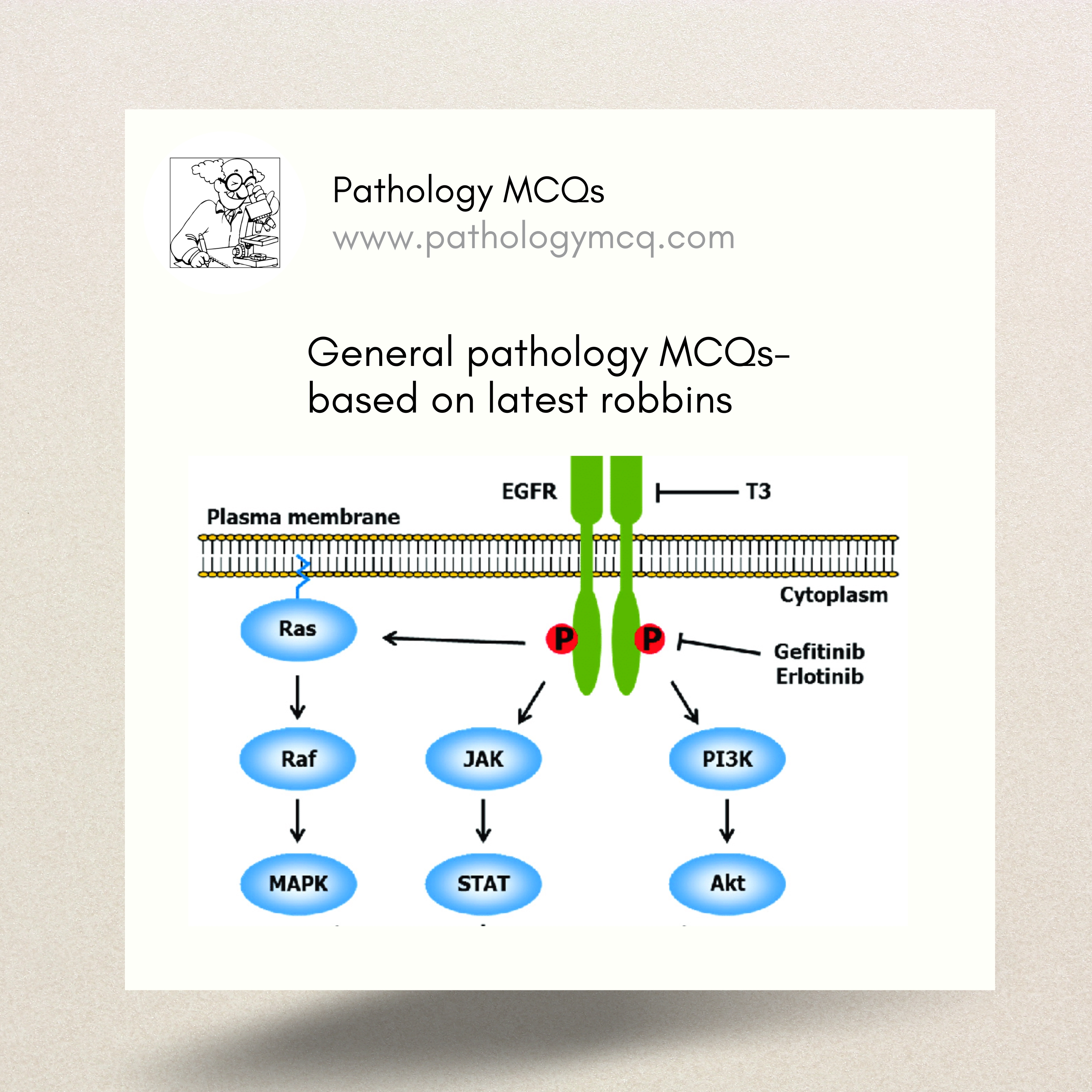 Growth Factors and Receptors — Gatekeepers of Cellular Fate
