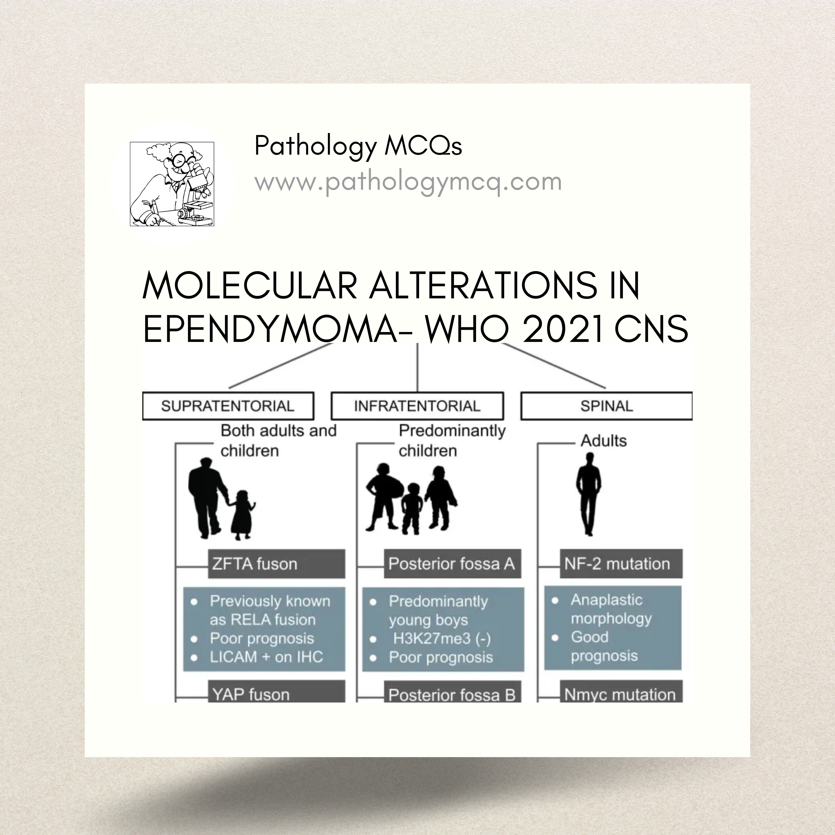 MOLECULAR ALTERATIONS IN EPENDYMOMA