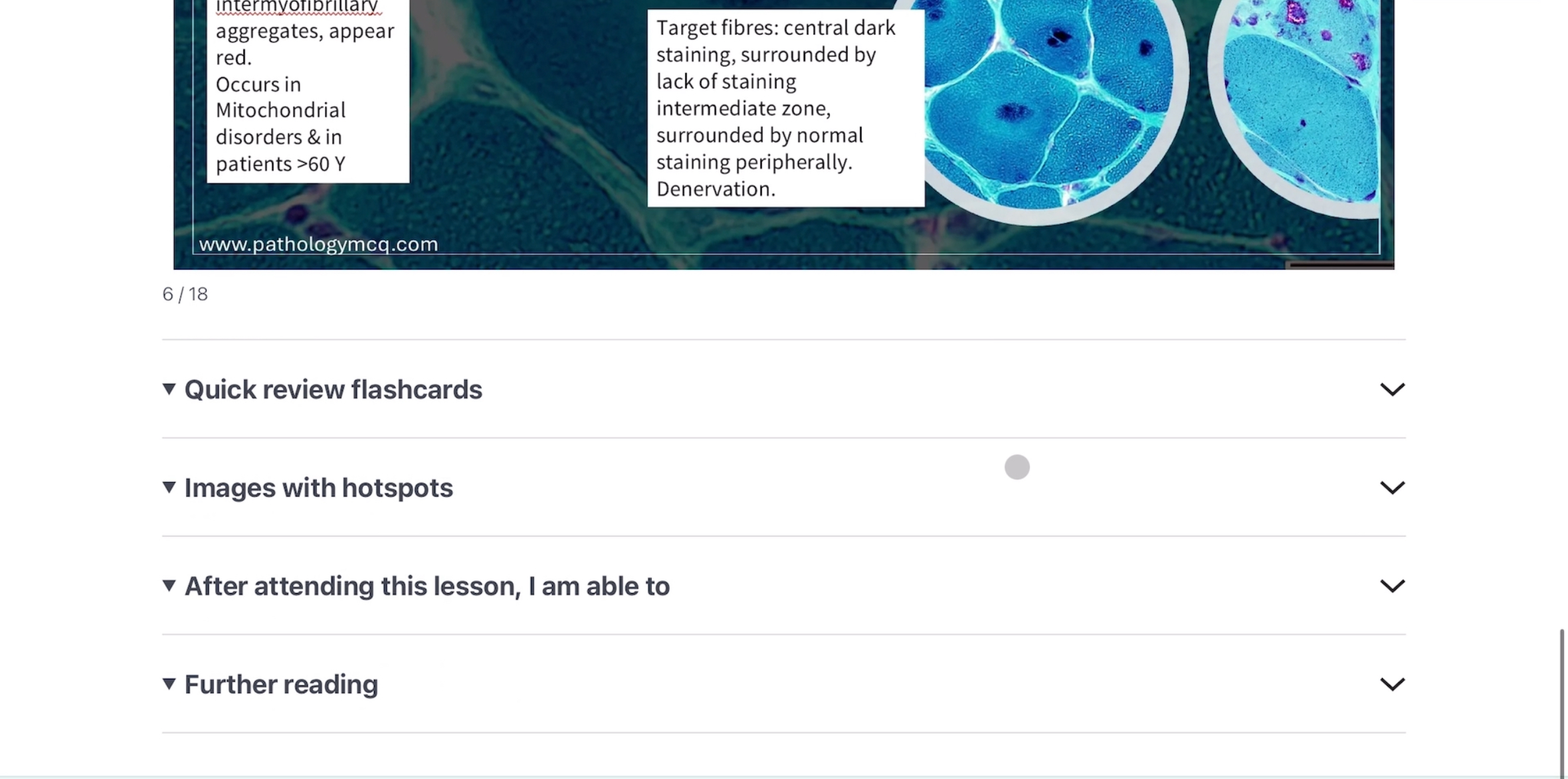 Approach Based Course- Advanced Histopathology and Cytology - Image 4