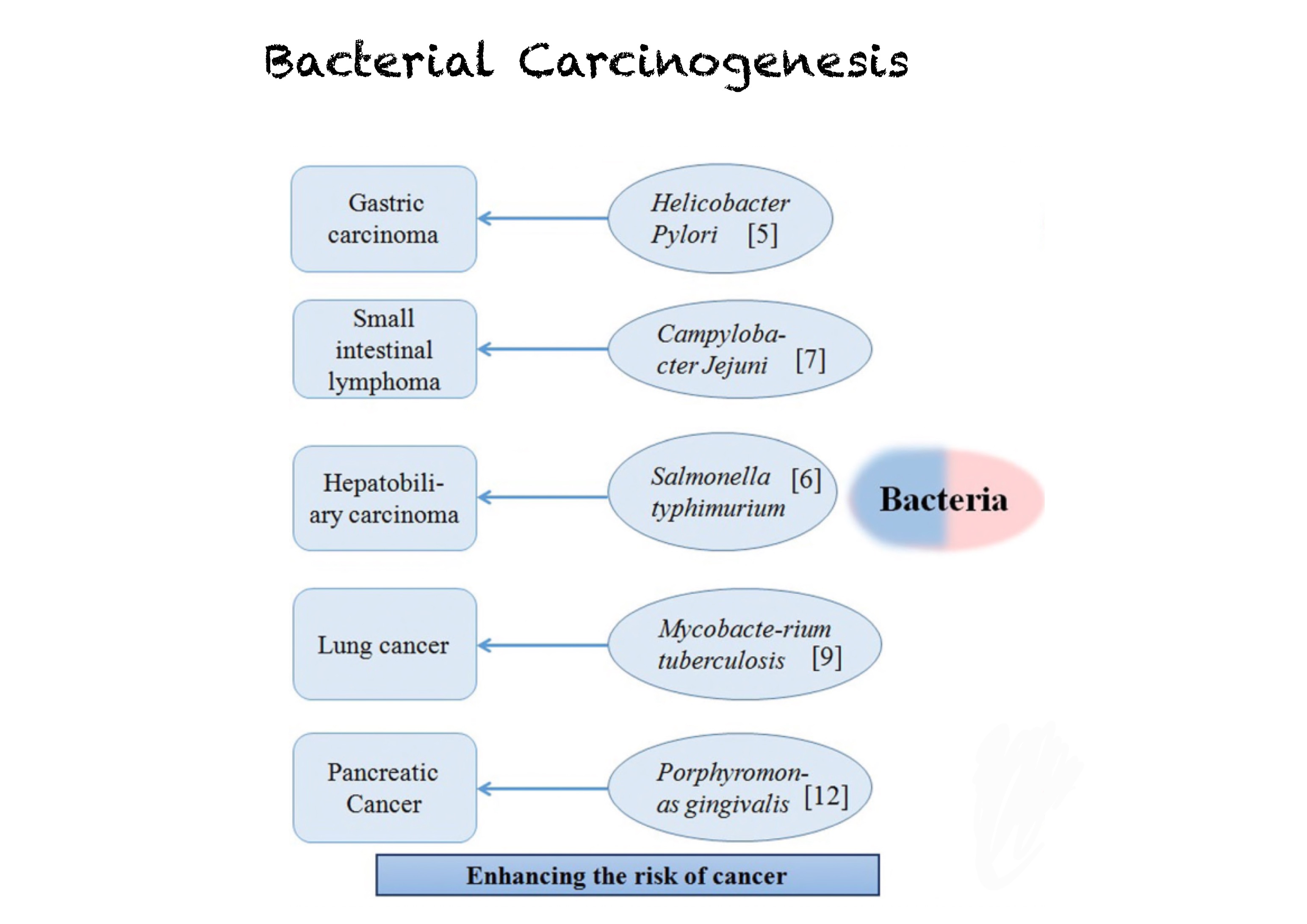 Pathology Mcqs For Various Entrance Exams