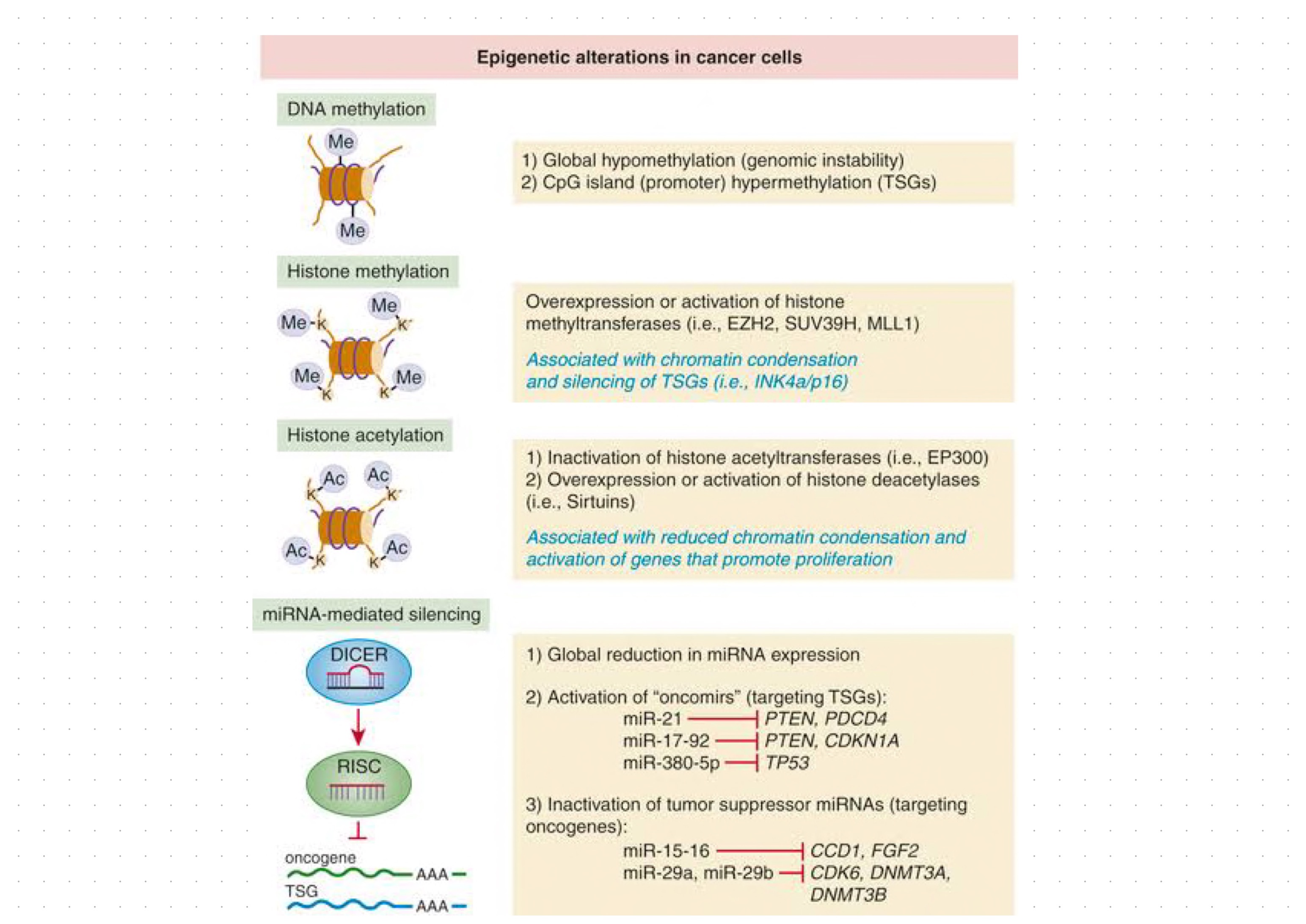 Pathology Mcqs For Various Entrance Exams