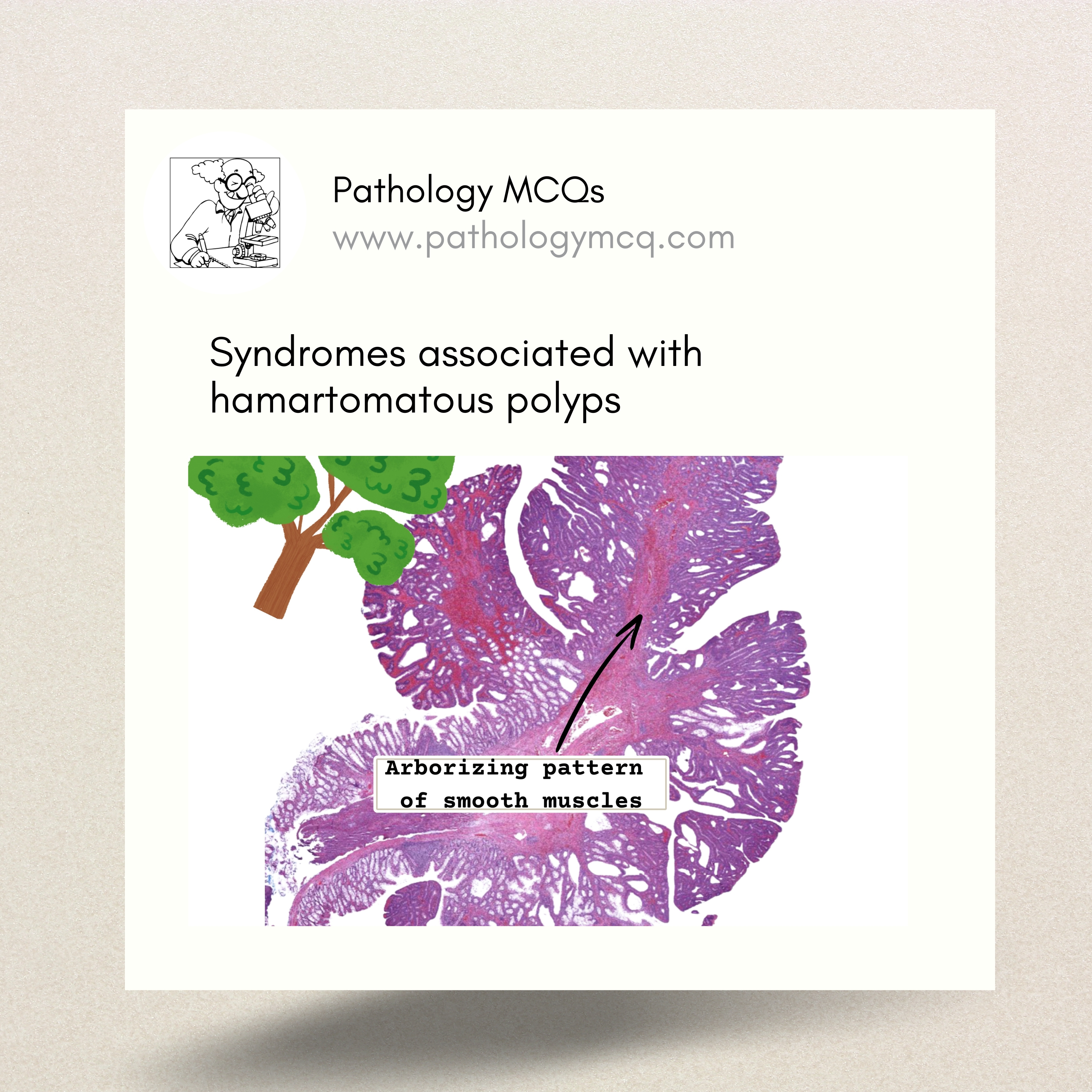 Syndromes associated with hamartomatous polyps