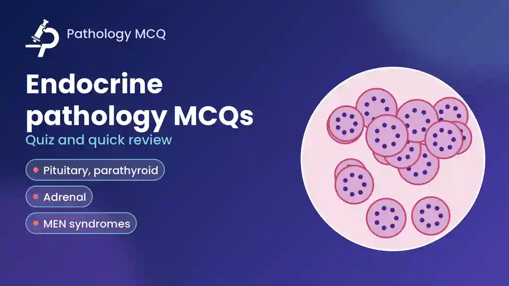 Endocrine Pathology MCQs: Pituitary, Parathyroid, Adrenal, Pancreatic NETs and MEN Syndromes