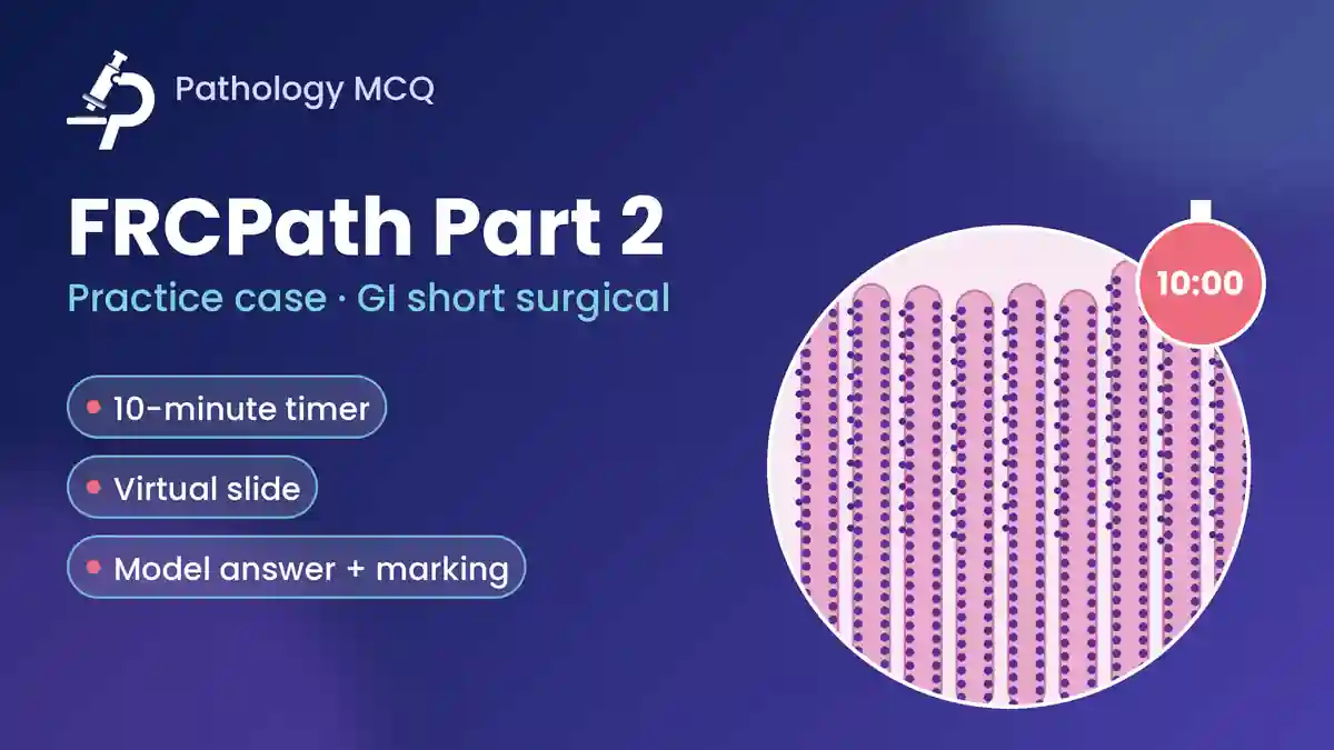 FRCPath Part 2 Histopathology Practice Case: GI Short Surgical with Virtual Slide and Model Answer