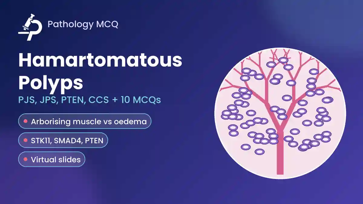 Hamartomatous Polyps: Peutz-Jeghers, Juvenile, PTEN and Cronkhite-Canada, Virtual Slides and MCQs