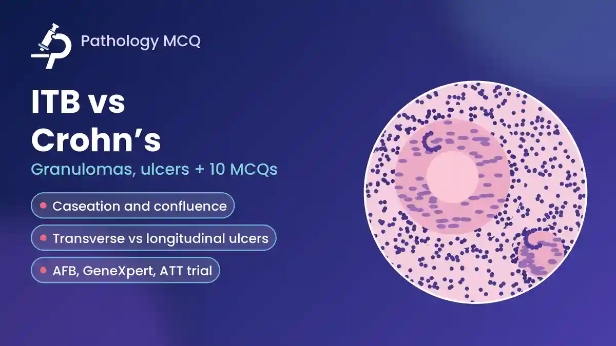 Intestinal Tuberculosis vs Crohn’s Disease: Granulomas, Ulcers, AFB and GeneXpert, ATT Trial, Virtual Slides and MCQs