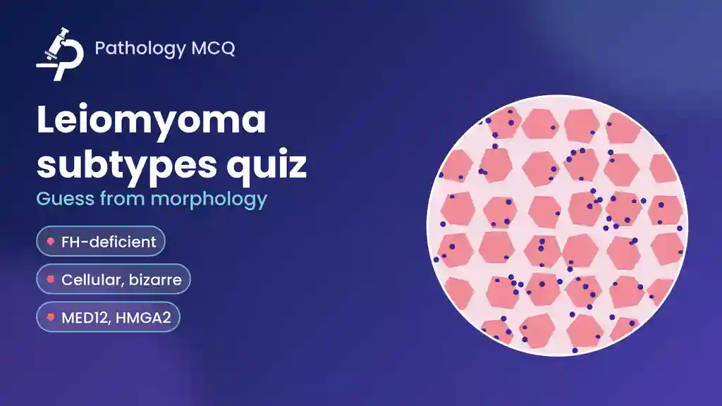 Guess the Leiomyoma Subtype: FH-Deficient vs Bizarre Nuclei, Cellular and Mitotically Active Leiomyoma, With MCQs