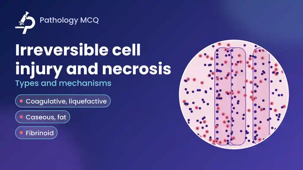 Irreversible Cell Injury & Necrosis: Types, Mechanisms, Morphology and High-Yield MCQs
