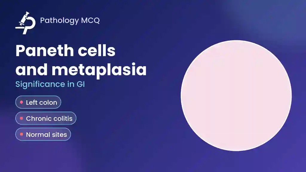 Paneth Cells and Paneth Cell Metaplasia: Normal Distribution, Chronic Colitis and IBD, Virtual Slides and MCQs