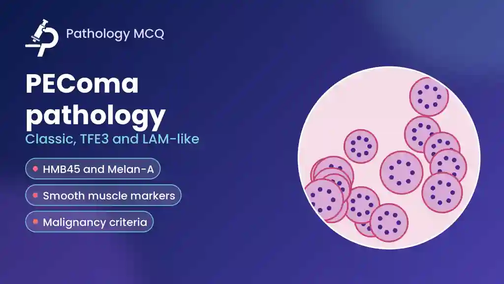 Perivascular Epithelioid Cell Tumor (PEComa) – Types, Morphology and Immunohistochemistry