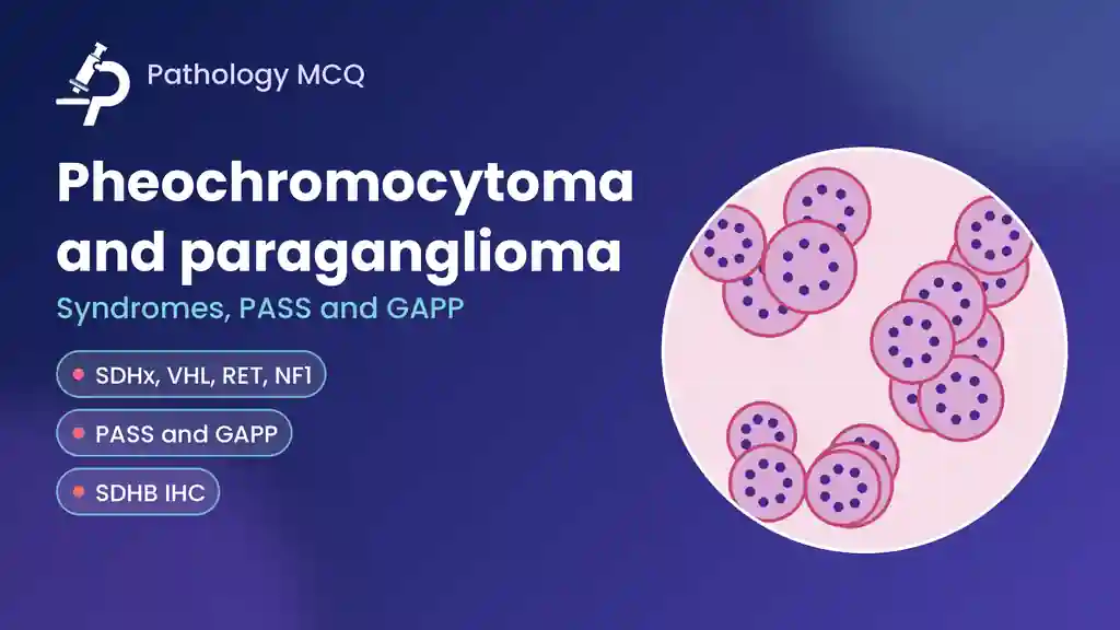 Pheochromocytoma and Paraganglioma Syndromes: Genes, WHO 2022, PASS and GAPP Scores, MCQs
