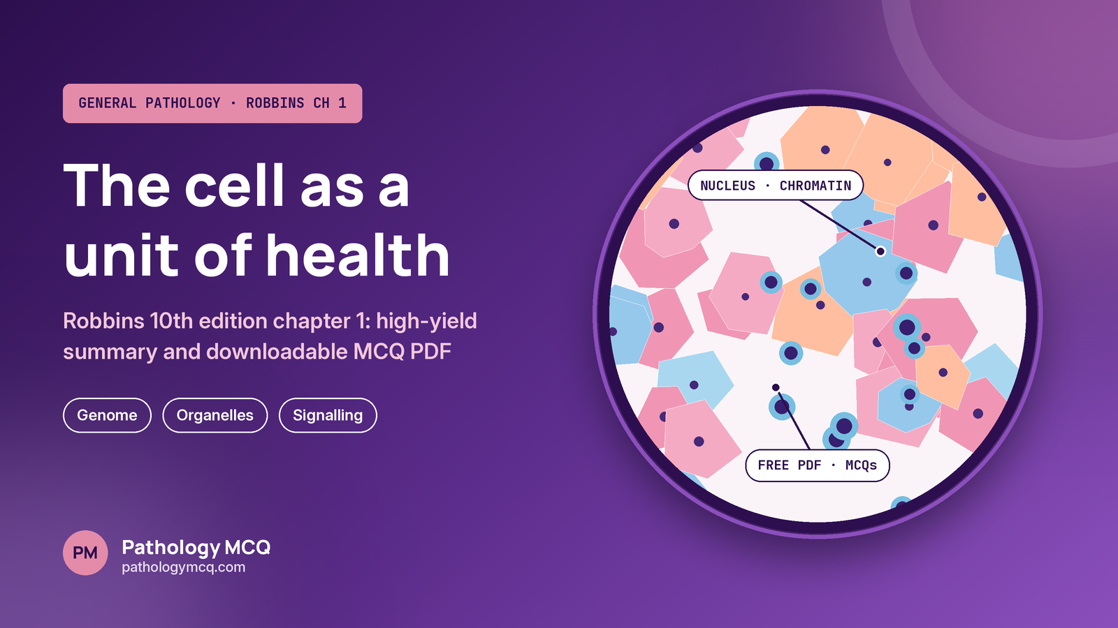 Robbins 10th Edition Chapter 1 MCQs: The Cell as a Unit of Health and Disease, with High-Yield Summary and Quiz