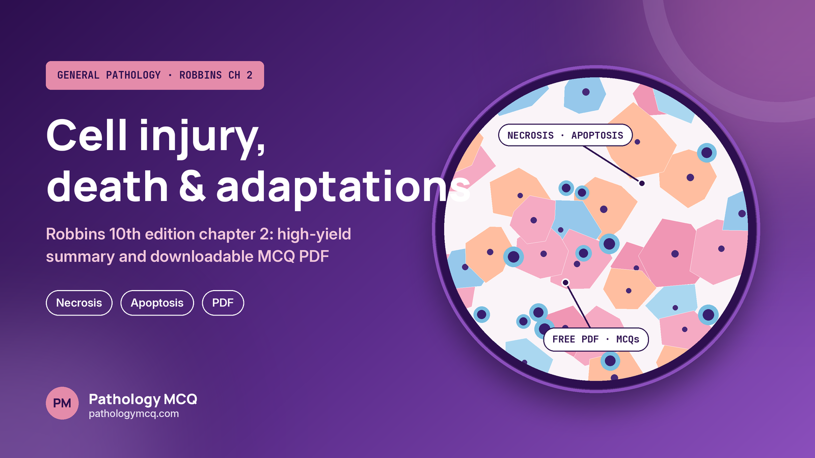 Robbins 10th Edition Chapter 2 MCQs PDF: Cell Injury, Cell Death and Adaptations, with High-Yield Summary